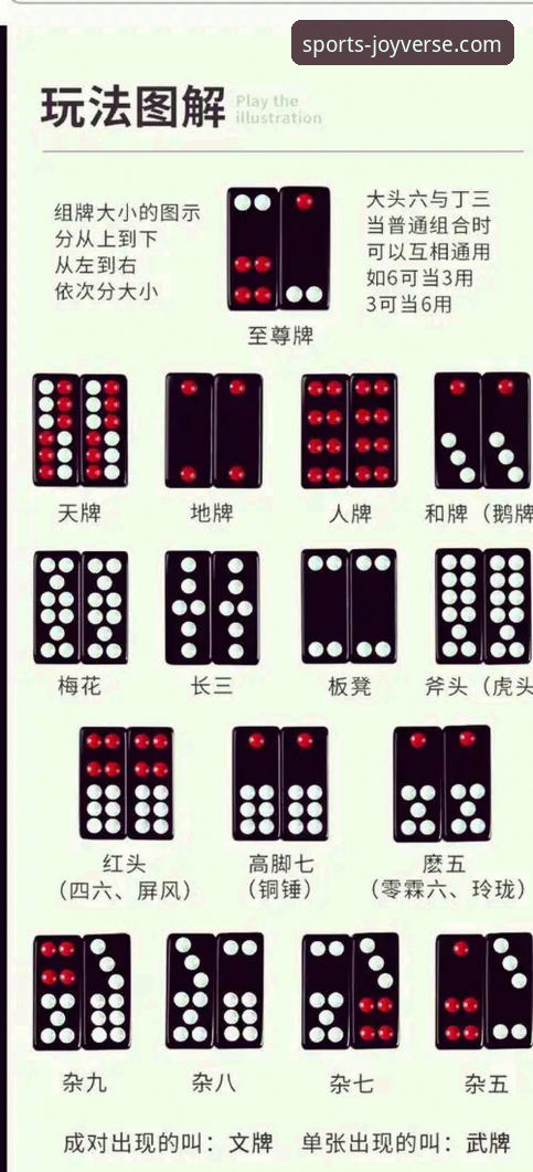 九游卡牌游戏最新版 揭秘九游卡牌游戏最新版背后的实战玩法与隐藏技巧
